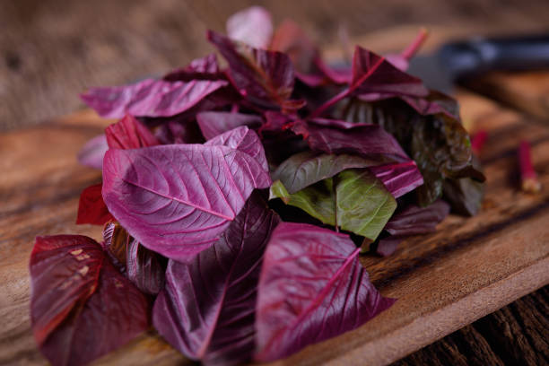 Top 10 Health Benefits of Red Spinach Leaves