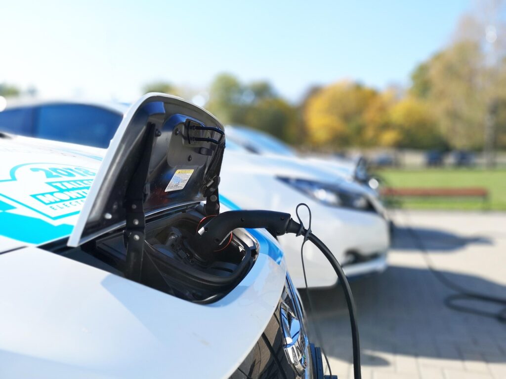 EV Sales Collapse